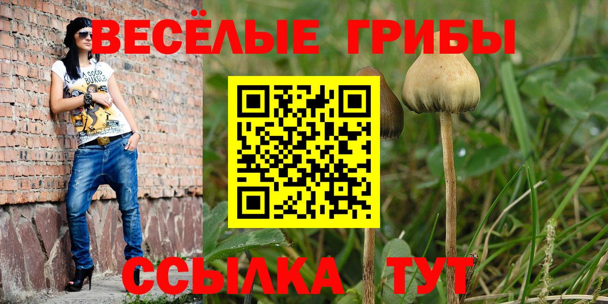 Верхняя Салда  Псилоцибиновые грибы Psilocybine cubensis  Вход с VPN  Псилоцибиновые грибы ЛСД 